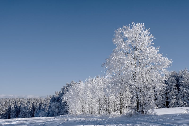 Fairytale Landscapes